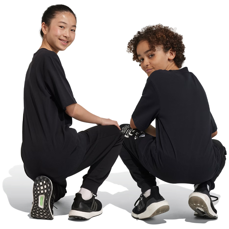 Футболка Adidas U FI LOGO T photo 3