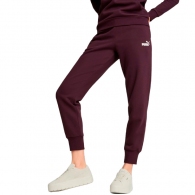 Брюки Puma ESS Sweatpants FL cl thumbnav 2