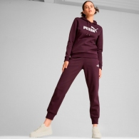 Брюки Puma ESS Sweatpants FL cl thumbnav 4