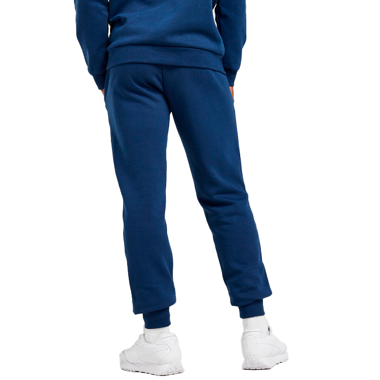Pantaloni Puma Key Graphic Pants FL S Albastru Barbati photo 5