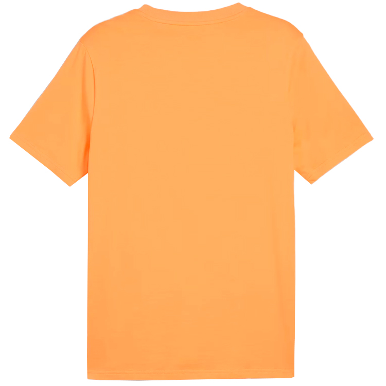 Tricou bărbătesc Puma DESERT ROAD Graphic Tee S Galben photo 2