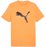 Tricou Puma DESERT ROAD Graphic Tee thumbnav 1