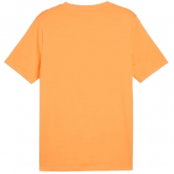 Tricou Puma DESERT ROAD Graphic Tee thumbnav 2