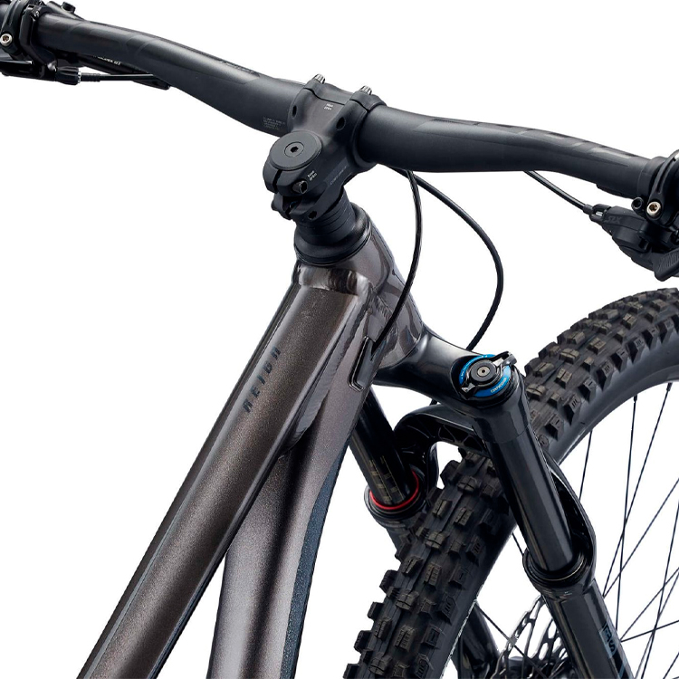 Bicicleta de munte Giant Reign 29 L Metal Gri L photo 3