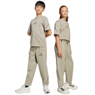 Брюки Adidas J Z.N.E WV PANT thumbnav 1