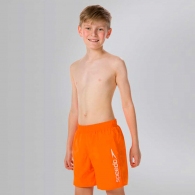 Шорты для плавания Speedo CHALLENGE 15" WSHT JM ORANGE thumbnav 3