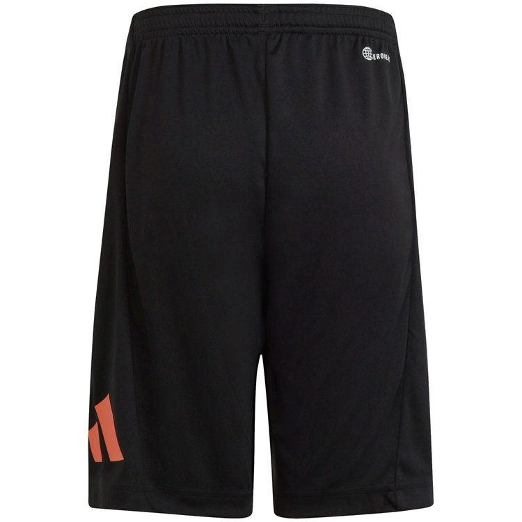 Шорты Adidas U TR-ES LOGO SH photo 2