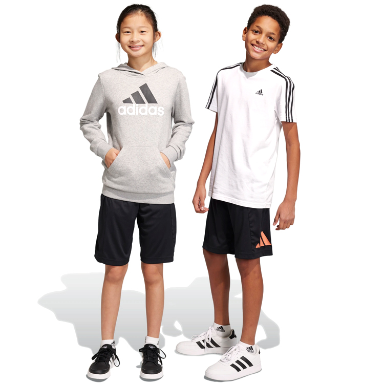 Шорты Adidas U TR-ES LOGO SH photo 5