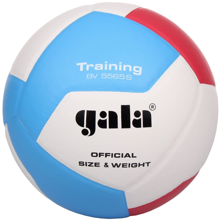 Minge voley inSPORTline Gala Training photo 