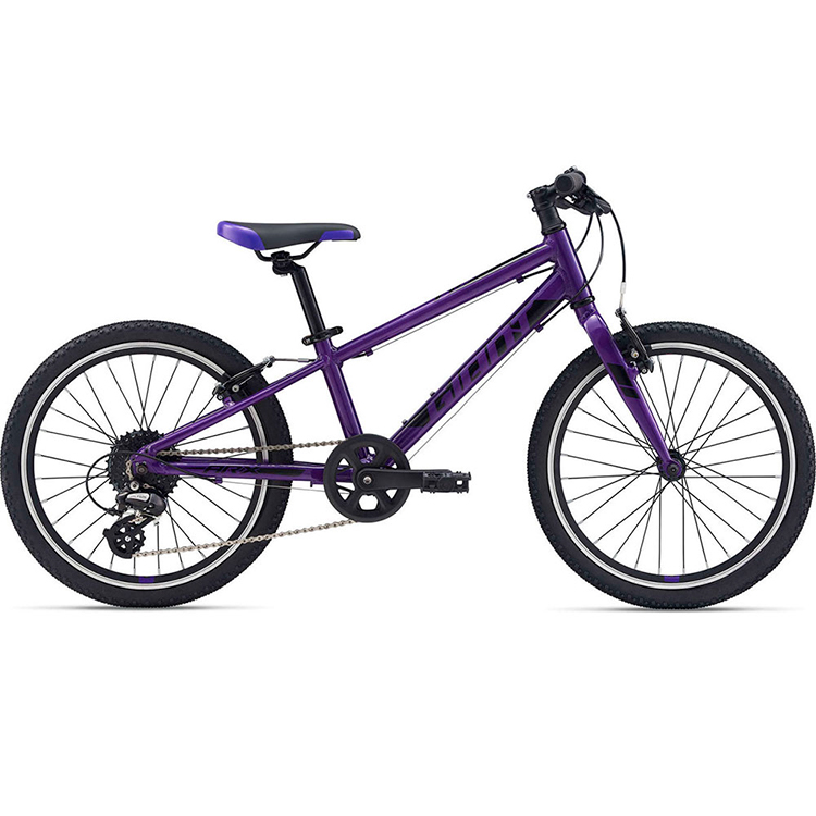 Bicicleta pentru copii Giant ARX photo Bicicleta pentru copii Giant ARX photo