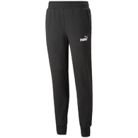 Брюки Puma ESS+ 2 Col Logo Pants FL thumbnav 1
