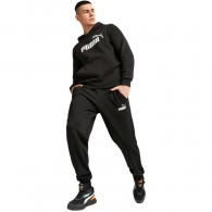 Брюки Puma ESS+ 2 Col Logo Pants FL thumbnav 3