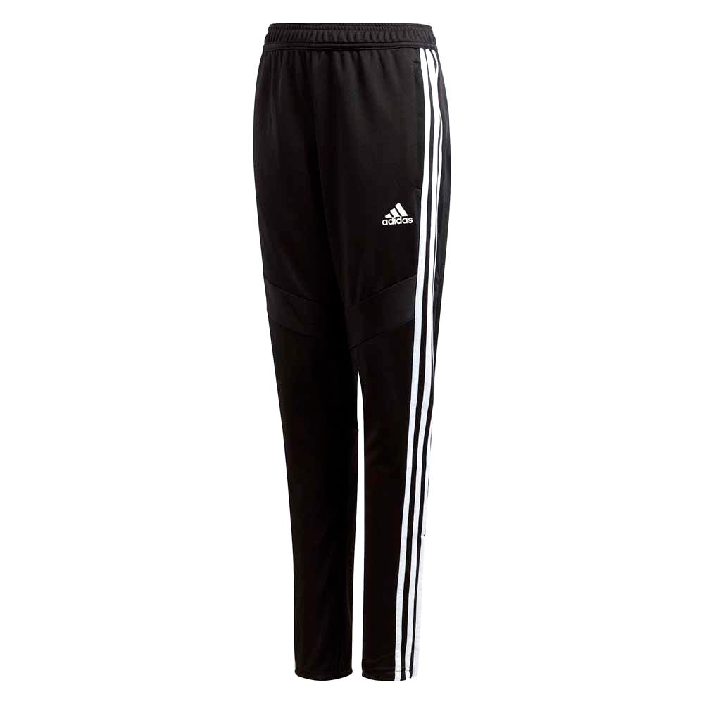 Брюки Adidas TIRO19 TR PNTY photo 1