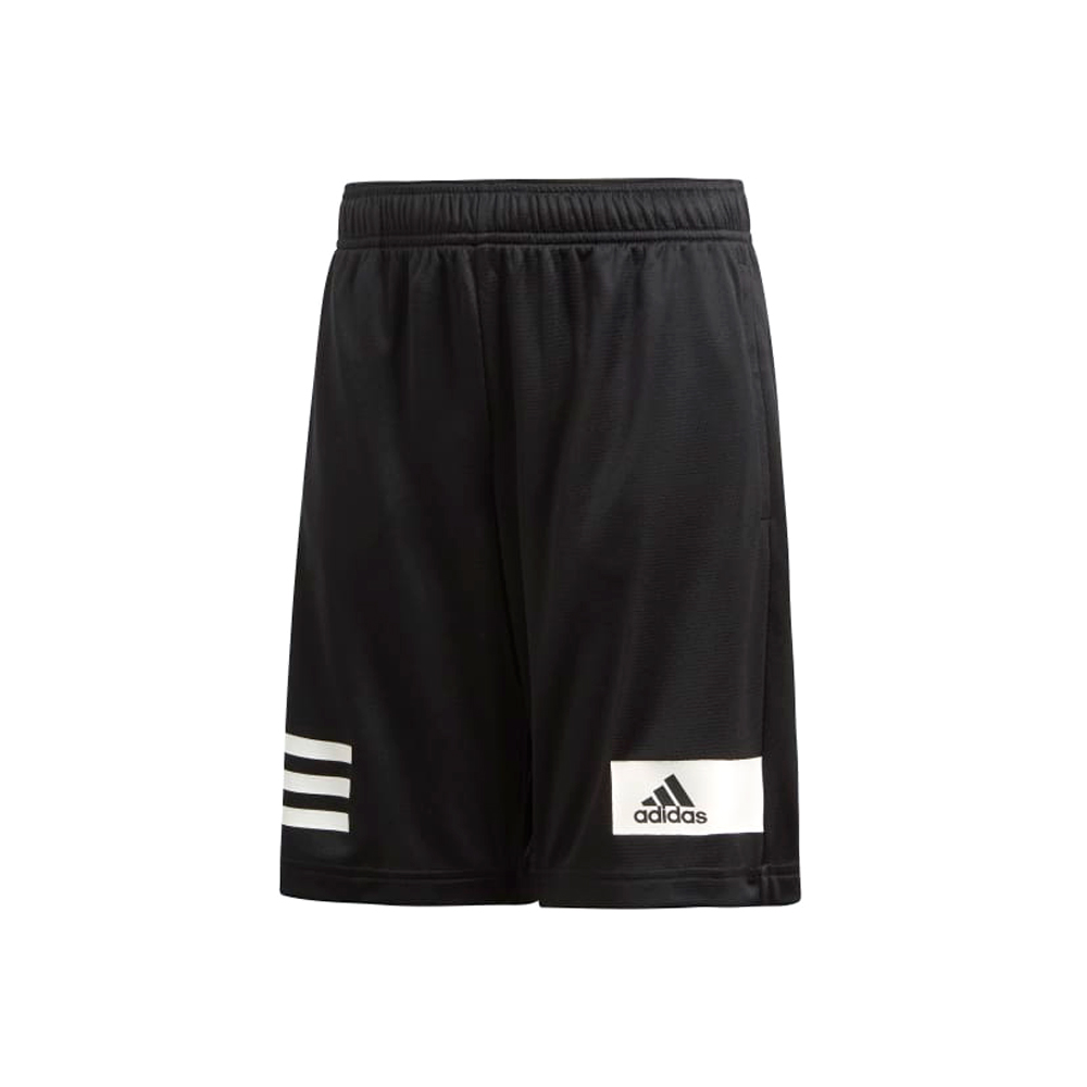 Шорты Adidas YB TR COOL SH photo 1 Шорты Adidas YB TR COOL SH photo 1