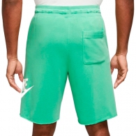 Шорты Nike M NK CLUB ALUMNI HBR FT SHORT thumbnav 3