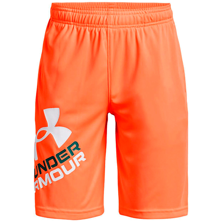 Шорты Under Armour UA BGS PROTOTYPE 2.0 LOGO SHORTS photo 
