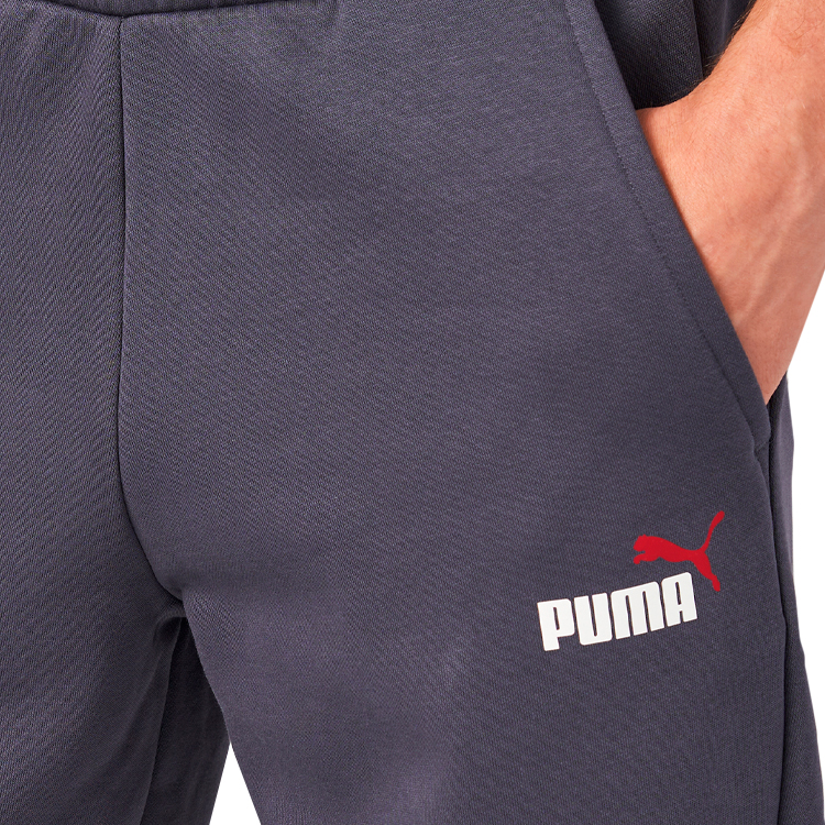 Брюки Puma ESS+ 2 Col Logo Pants FL S Синий Мужской photo 4