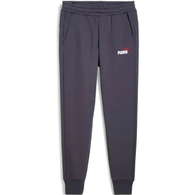 Брюки Puma ESS+ 2 Col Logo Pants FL thumbnav 1