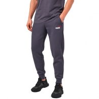 Брюки Puma ESS+ 2 Col Logo Pants FL thumbnav 2