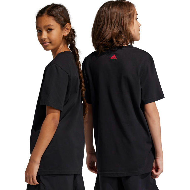 Футболка Adidas U BL 2 TEE photo 5