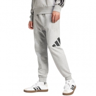 Брюки Adidas M BL FT PT thumbnav 2