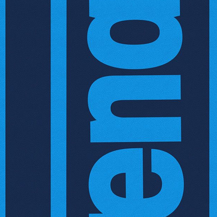 Prosop  Arena LOGOTYPE JACQUARD TOWEL 009181-870 Albastru photo 3