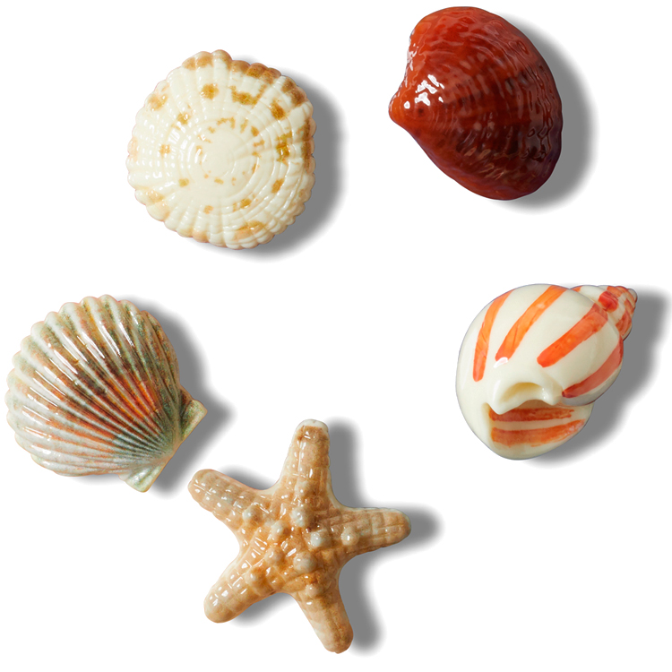 Jibbitz Crocs She Sells Seashells 5 Pack photo 
