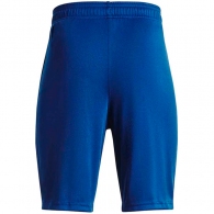 Шорты Under Armour UA BGS PROTOTYPE 2.0 LOGO SHORTS thumbnav 2