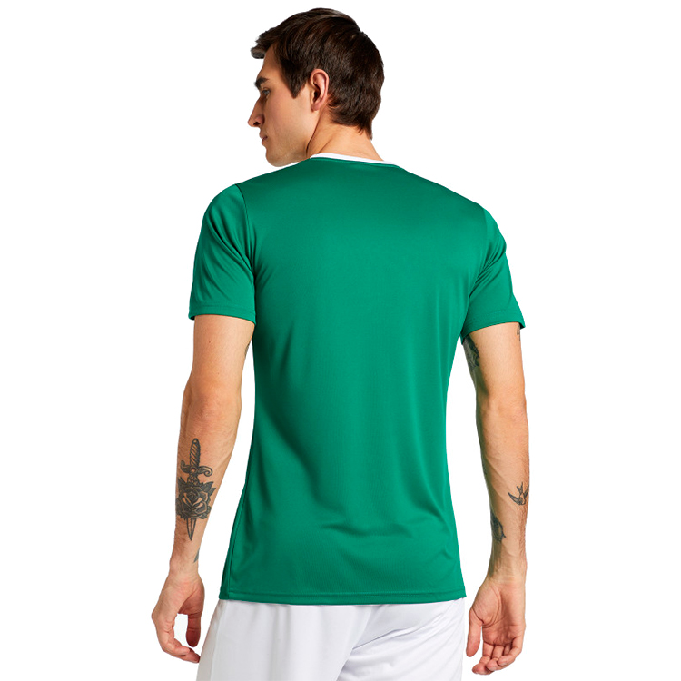 Футболка мужская Demix TEE 50 Зеленый photo 2