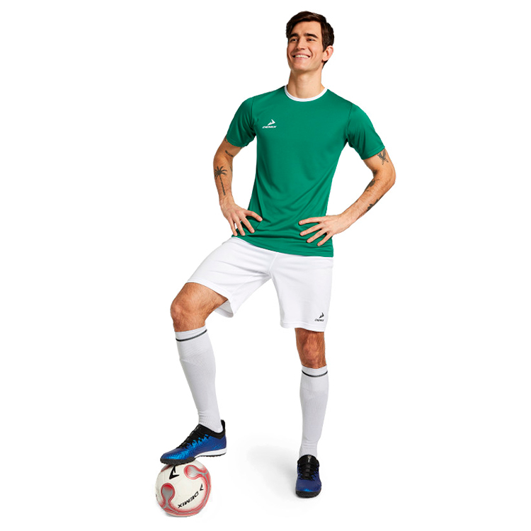 Футболка мужская Demix TEE 50 Зеленый photo 4