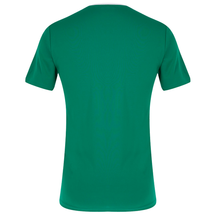Футболка мужская Demix TEE 50 Зеленый photo 5