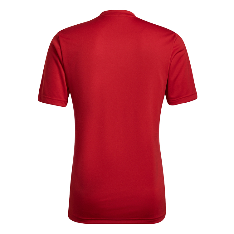 Tricou bărbătesc Adidas ENT22 GFX JSY S Rosu photo 2