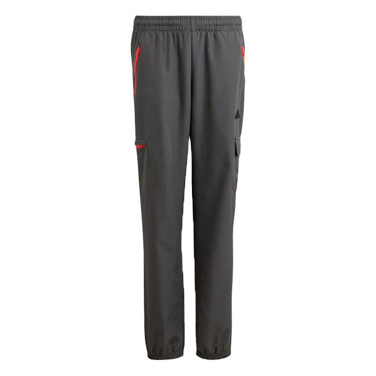 Брюки Adidas U CE Q2 CRGO PT photo 1