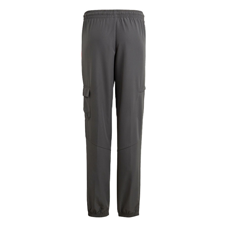Брюки Adidas U CE Q2 CRGO PT photo 2