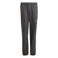 Брюки Adidas U CE Q2 CRGO PT thumbnav 1