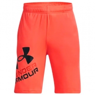 Шорты Under Armour UA BGS PROTOTYPE 2.0 LOGO SHORTS thumbnav 1