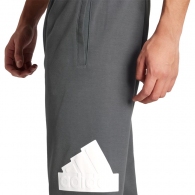 Брюки Adidas M FI BOS PT thumbnav 3