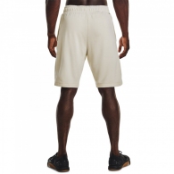 Шорты Under Armour UA TERRY SHORT thumbnav 5