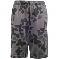 Шорты Adidas J TR-ES AOP SH thumbnav 1