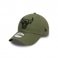 Кепка New Era NBA Essential Outline     thumbnav