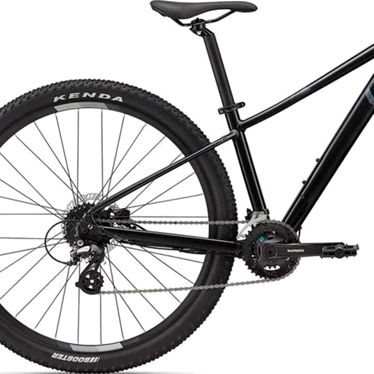 Bicicleta de munte Liv Tempt 3 Negru M photo 3