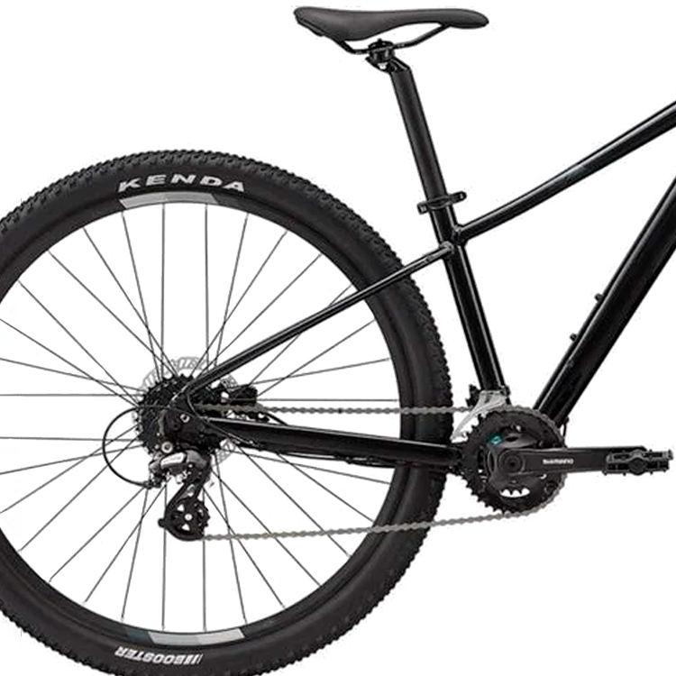 Bicicleta de munte Liv Tempt 3 Negru M photo 5