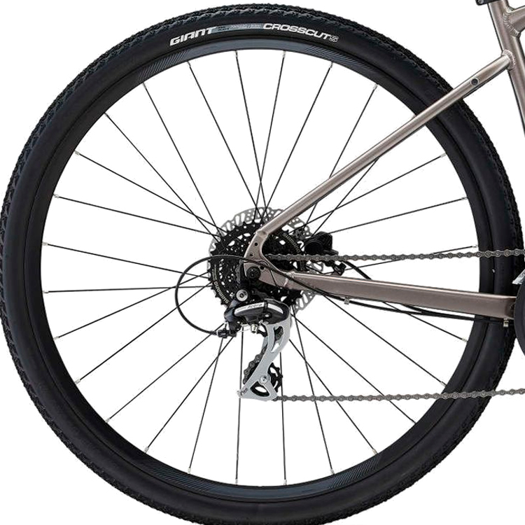 Bicicleta Aventure Giant Roam 3 Disc Gri M photo 4