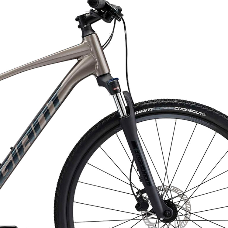Bicicleta Aventure Giant Roam 3 Disc Gri M photo 5