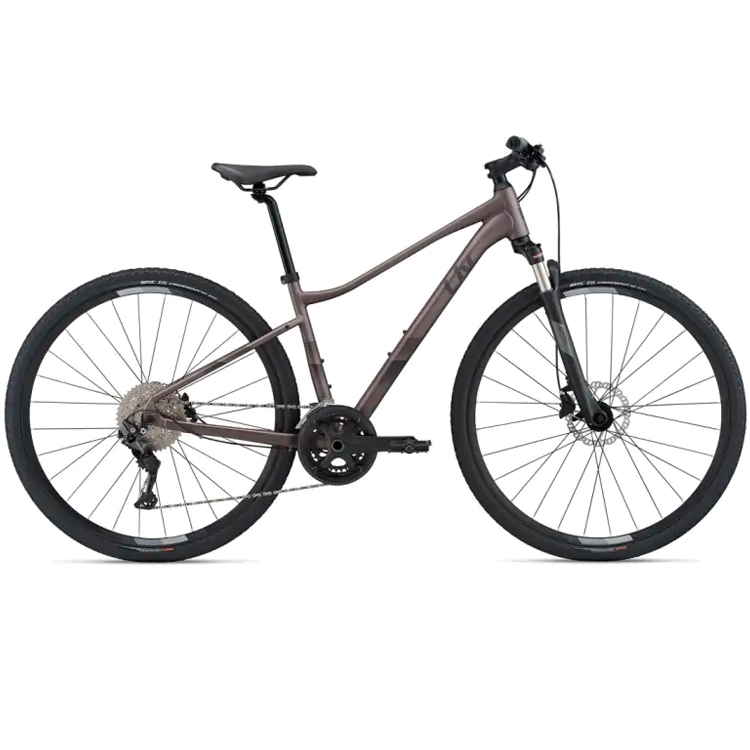 Bicicleta de amatori Liv ROVE 1 DD Gri M photo 1