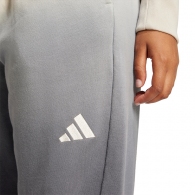 Брюки Adidas W ALL SZN A PT thumbnav 4