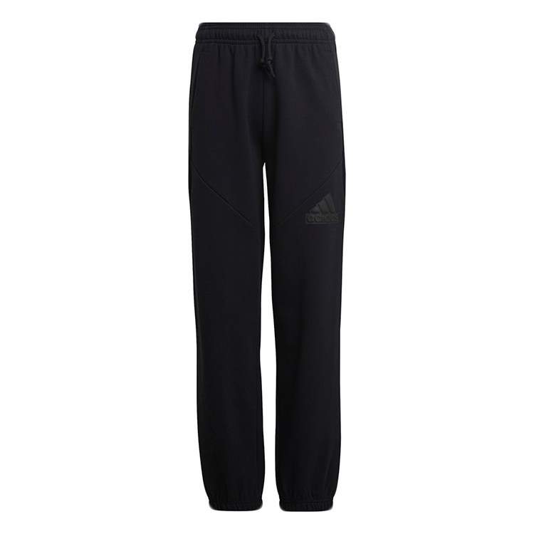 Pantaloni Adidas U FI LOGO PT photo 1
