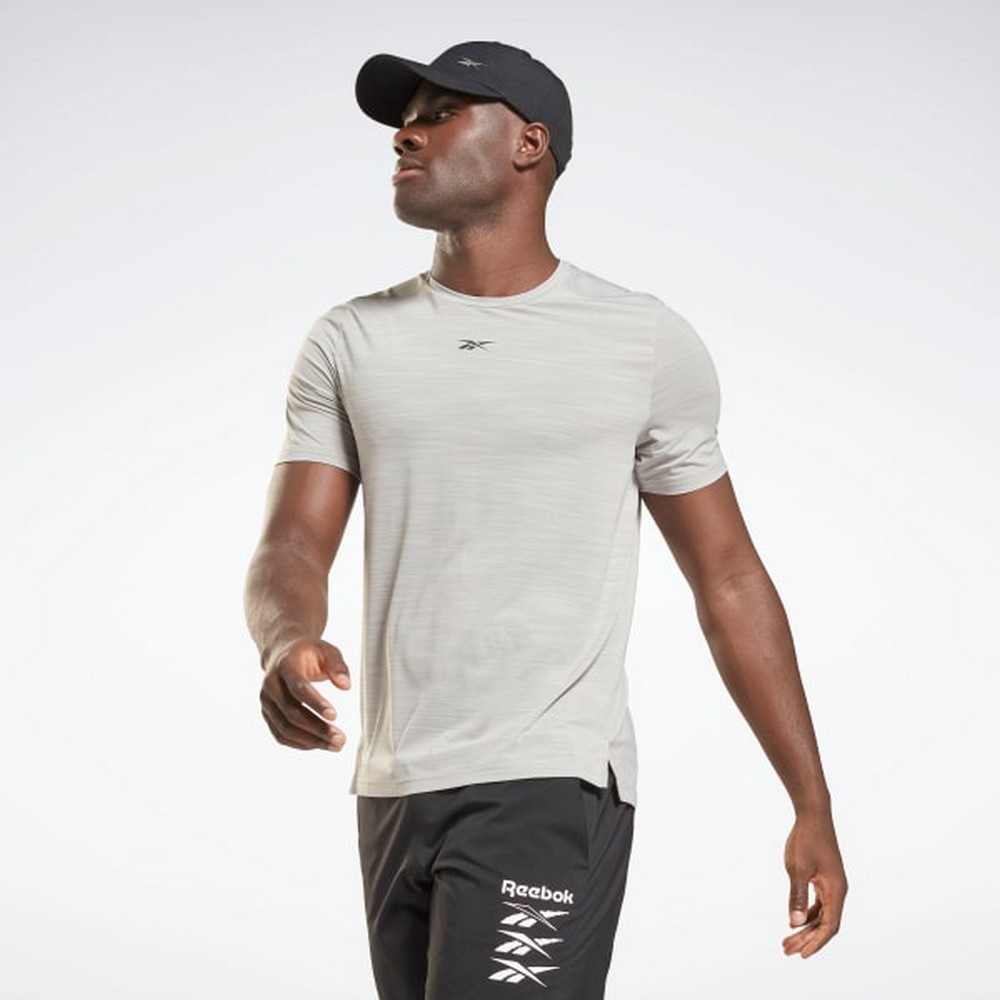 Tricou bărbătesc Reebok TS AC SOLID MOVE S Gri photo 2