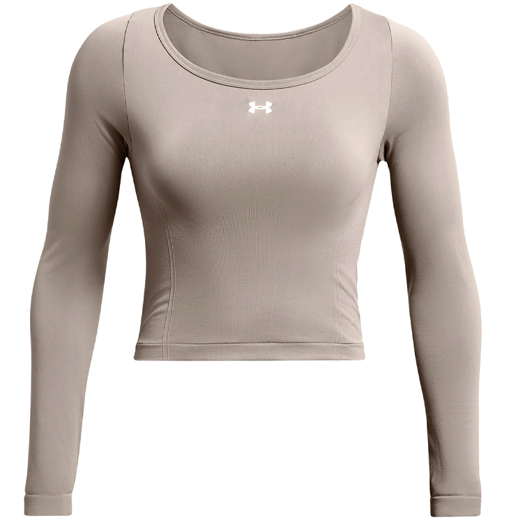 Толстовка Under Armour UA Vanish Seamless LS photo Толстовка Under Armour UA Vanish Seamless LS photo