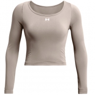 Толстовка Under Armour UA Vanish Seamless LS thumbnav